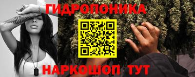 хмурый Можга