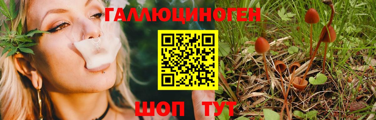 Галлюциногенные грибы MAGIC MUSHROOMS Советск