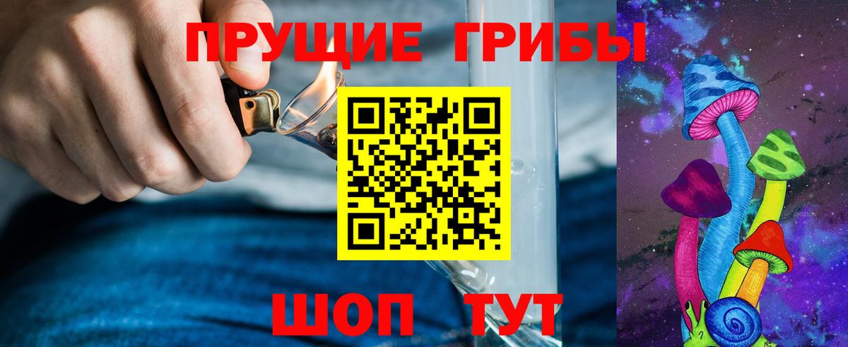 Псилоцибиновые грибы Psilocybe  Вход с VPN  Советск 